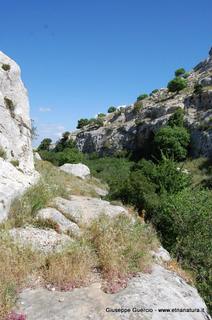 ntana Paradiso-15-05-2014 17-40-14